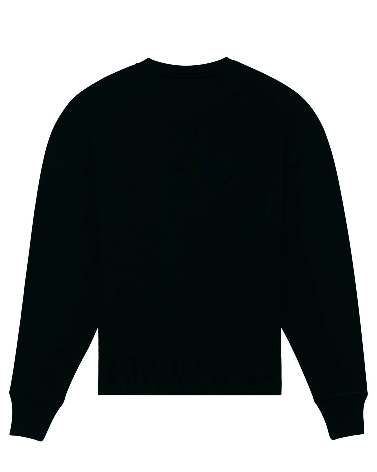 UNISEX  OVERSIZE  DŽEMPERIS  SU  SPAUDINIU,,KOLIBRIS’’